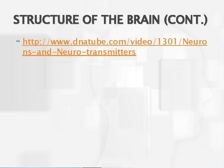 STRUCTURE OF THE BRAIN (CONT. ) http: //www. dnatube. com/video/1301/Neuro ns-and-Neuro-transmitters 