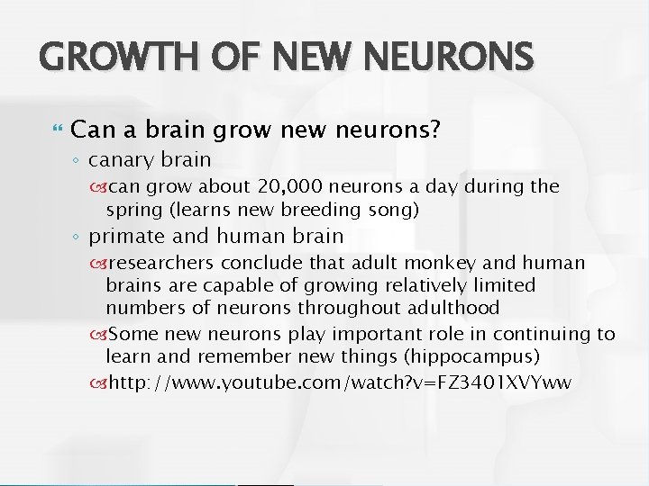 GROWTH OF NEW NEURONS Can a brain grow neurons? ◦ canary brain can grow