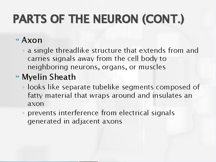 PARTS OF THE NEURON (CONT. ) Axon ◦ a single threadlike structure that extends