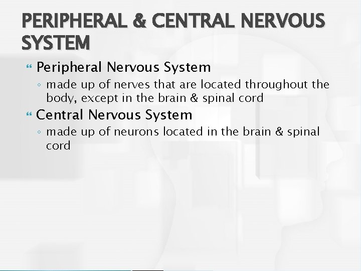 PERIPHERAL & CENTRAL NERVOUS SYSTEM Peripheral Nervous System ◦ made up of nerves that