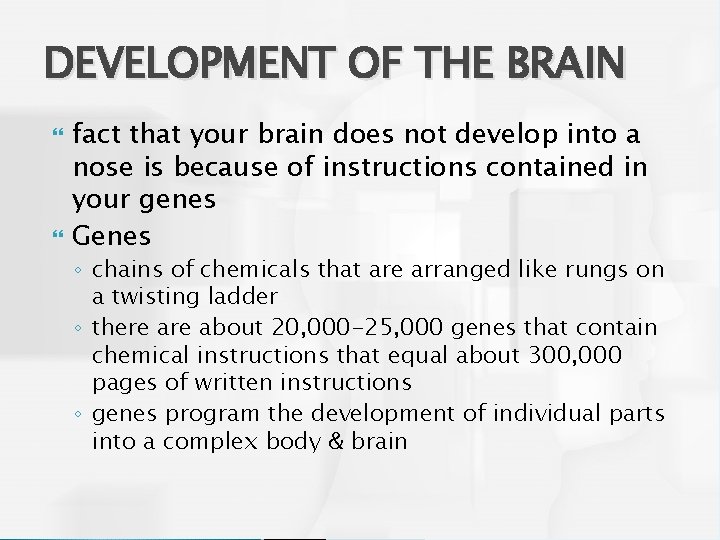 DEVELOPMENT OF THE BRAIN fact that your brain does not develop into a nose