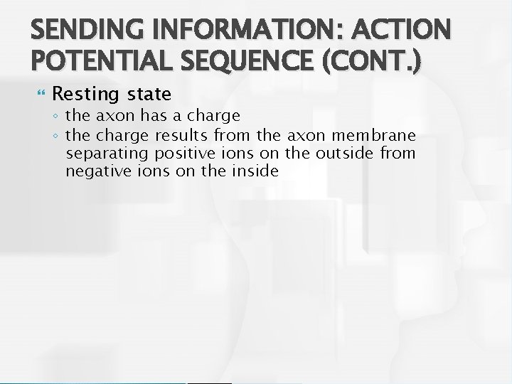 SENDING INFORMATION: ACTION POTENTIAL SEQUENCE (CONT. ) Resting state ◦ the axon has a
