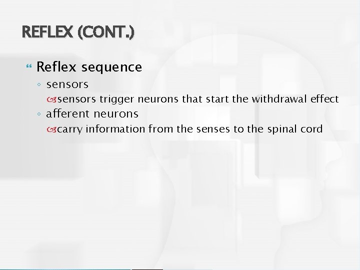 REFLEX (CONT. ) Reflex sequence ◦ sensors trigger neurons that start the withdrawal effect