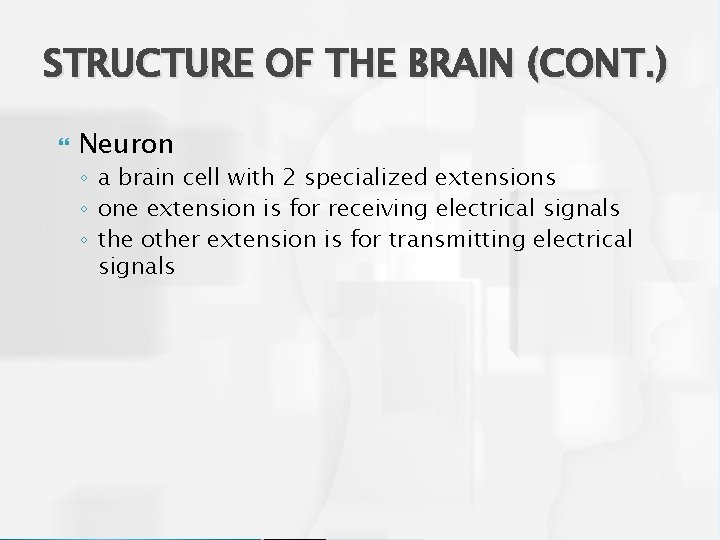 STRUCTURE OF THE BRAIN (CONT. ) Neuron ◦ a brain cell with 2 specialized