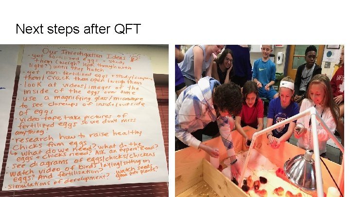Next steps after QFT 