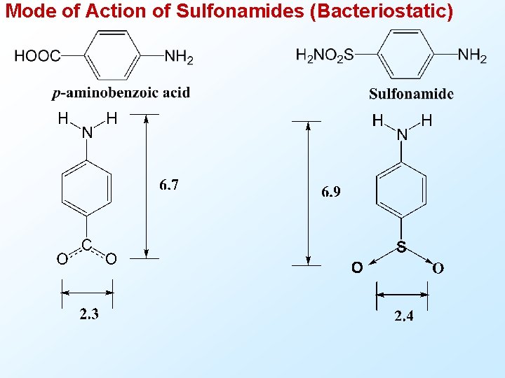 Mode of Action of Sulfonamides (Bacteriostatic) 