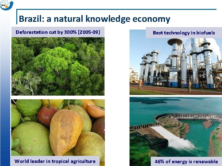 Brazil: a natural knowledge economy Deforestation cut by 300% (2005 -09) World leader in