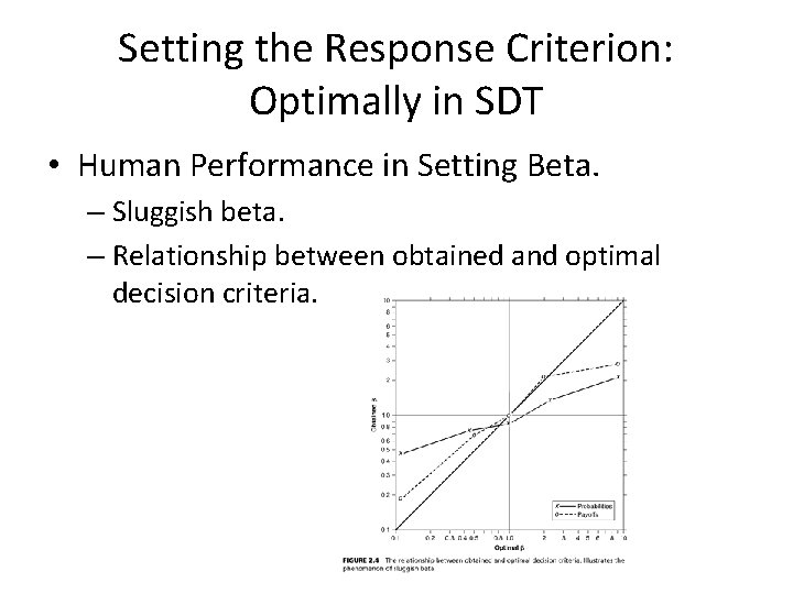 Setting the Response Criterion: Optimally in SDT • Human Performance in Setting Beta. –