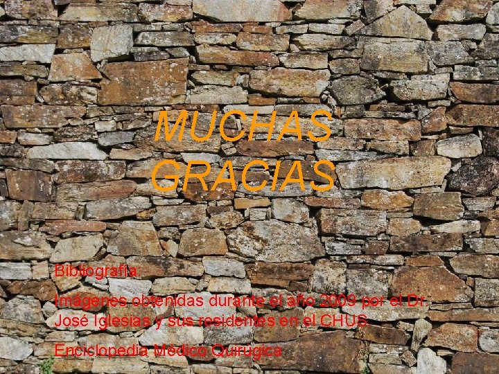 MUCHAS GRACIAS Bibliografía: Imágenes obtenidas durante el año 2009 por el Dr. José Iglesias