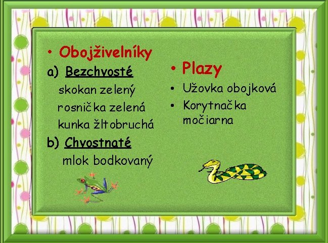  • Obojživelníky a) Bezchvosté skokan zelený rosnička zelená kunka žltobruchá b) Chvostnaté mlok