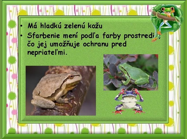  • Má hladkú zelenú kožu • Sfarbenie mení podľa farby prostredia, čo jej