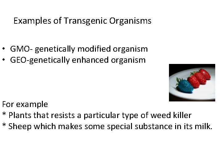 Examples of Transgenic Organisms • GMO- genetically modified organism • GEO-genetically enhanced organism For
