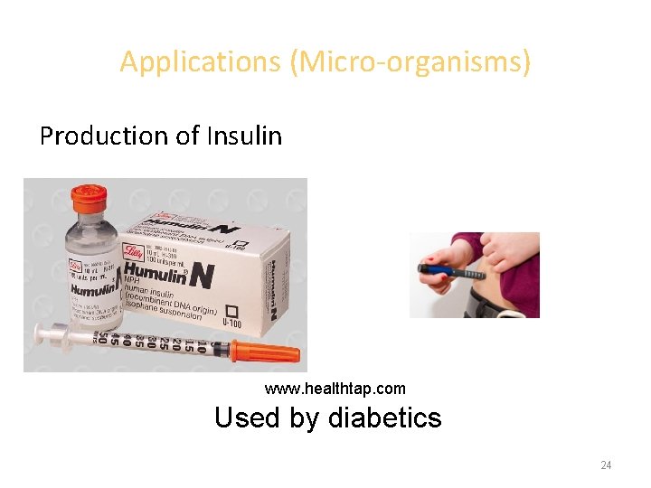 Applications (Micro-organisms) Production of Insulin www. healthtap. com Used by diabetics 24 