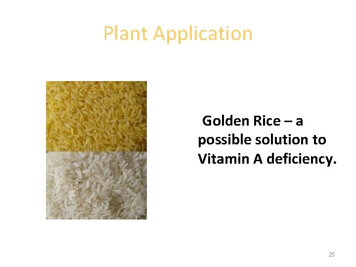 Plant Application Golden Rice – a possible solution to Vitamin A deficiency. 25 