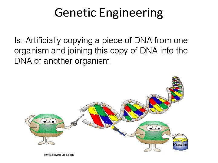Genetic Engineering Is: Artificially copying a piece of DNA from one organism and joining