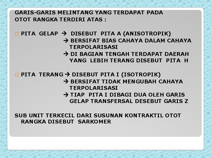 GARIS-GARIS MELINTANG YANG TERDAPAT PADA OTOT RANGKA TERDIRI ATAS : � PITA GELAP DISEBUT