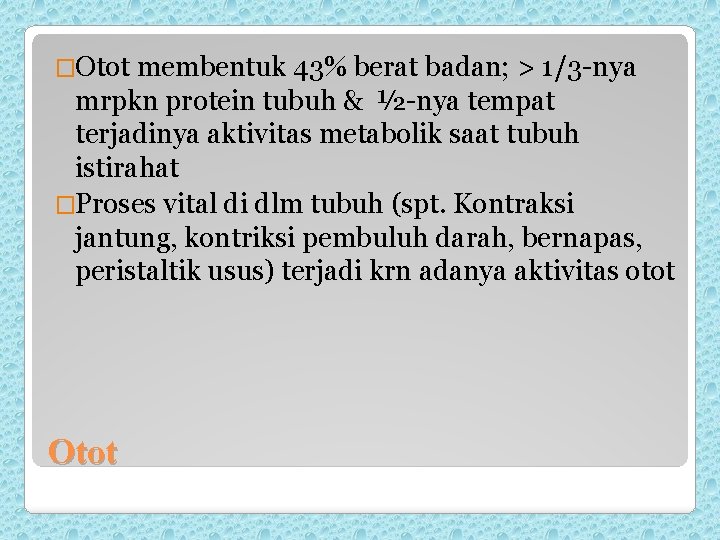 �Otot membentuk 43% berat badan; > 1/3 -nya mrpkn protein tubuh & ½-nya tempat