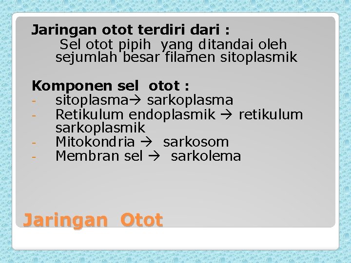 Jaringan otot terdiri dari : Sel otot pipih yang ditandai oleh sejumlah besar filamen