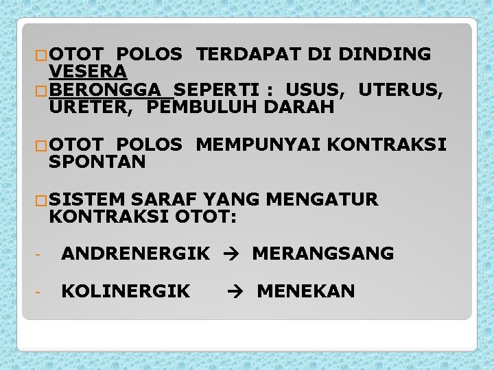 �OTOT POLOS TERDAPAT DI DINDING VESERA �BERONGGA SEPERTI : USUS, UTERUS, URETER, PEMBULUH DARAH