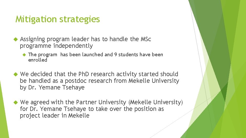 Mitigation strategies Assigning program leader has to handle the MSc programme independently The program