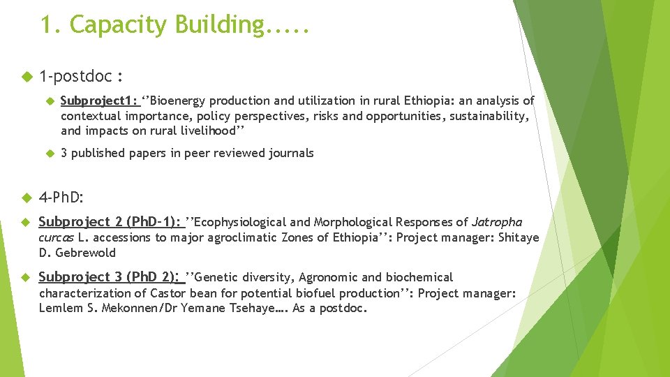 1. Capacity Building. . . 1 -postdoc : Subproject 1: ‘’Bioenergy production and utilization