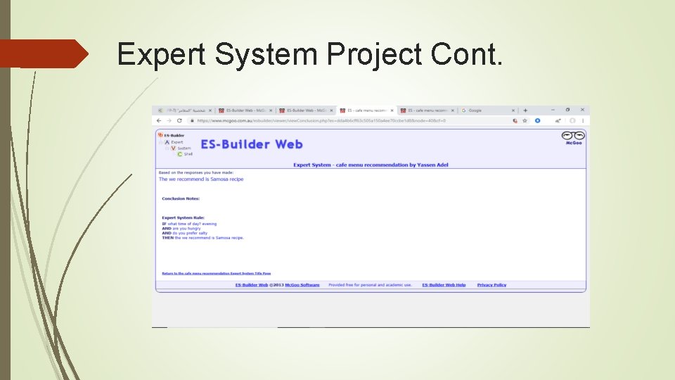 Expert System Project Cont. 