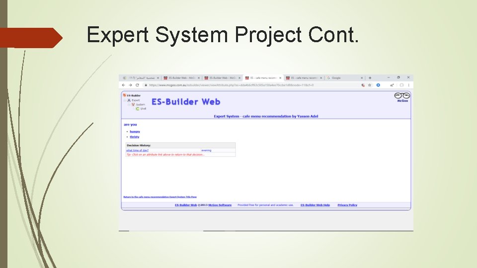 Expert System Project Cont. 