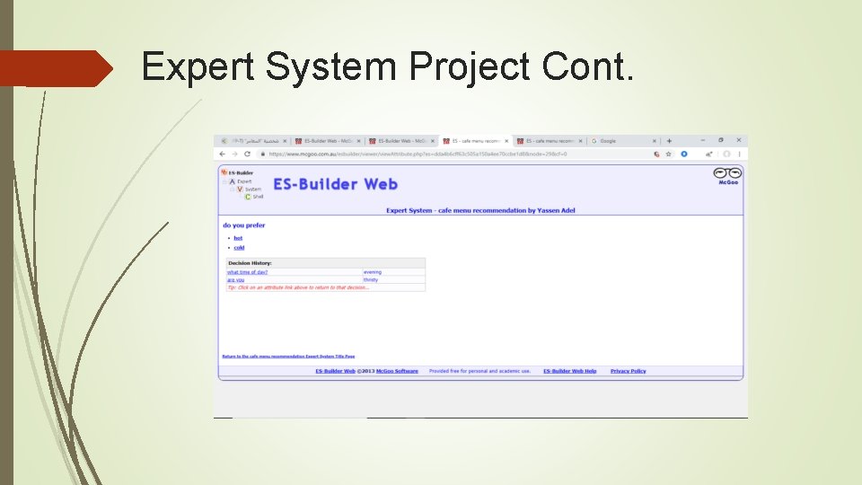 Expert System Project Cont. 