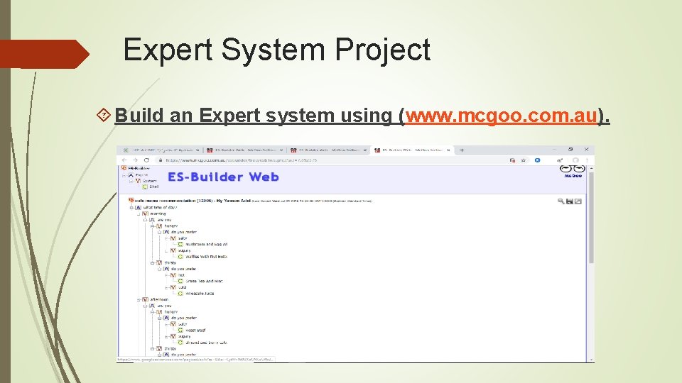 Expert System Project Build an Expert system using (www. mcgoo. com. au). 
