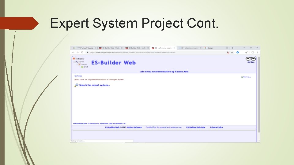Expert System Project Cont. 