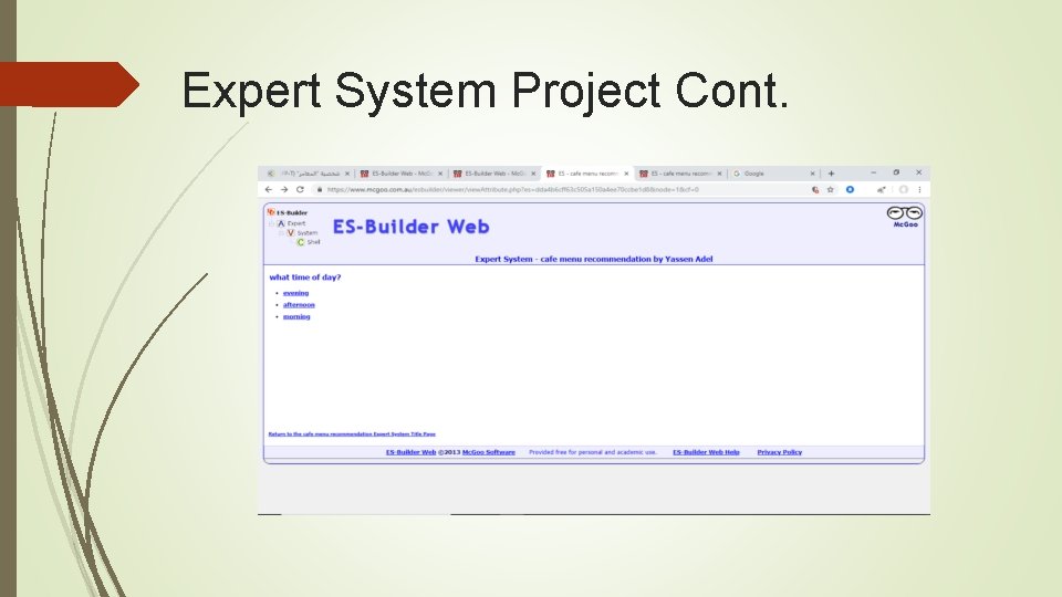 Expert System Project Cont. 