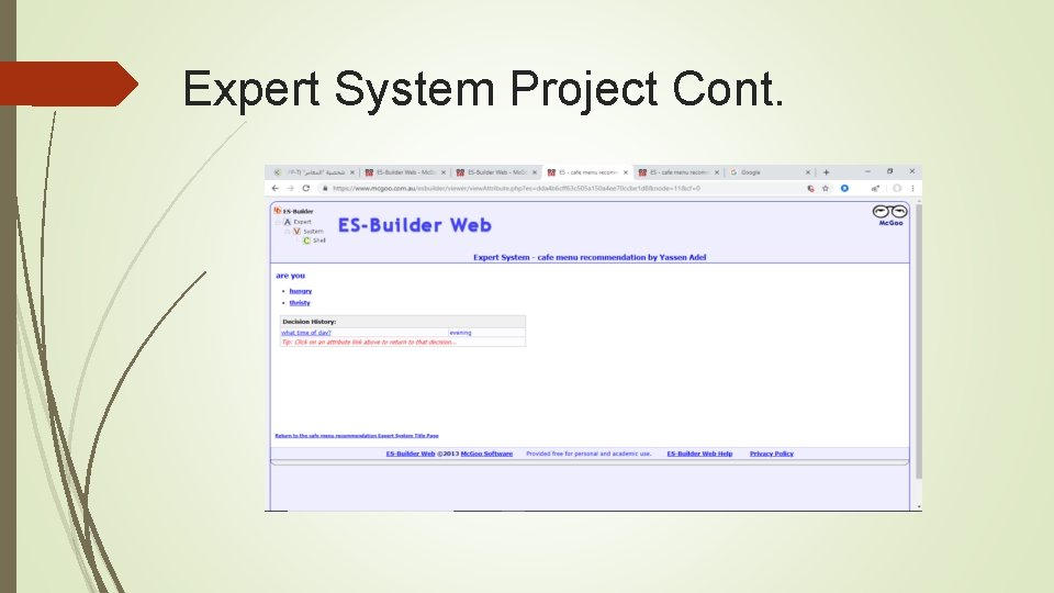 Expert System Project Cont. 