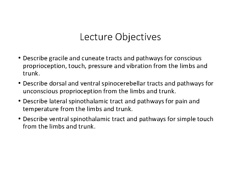 Lecture Objectives • Describe gracile and cuneate tracts and pathways for conscious proprioception, touch,