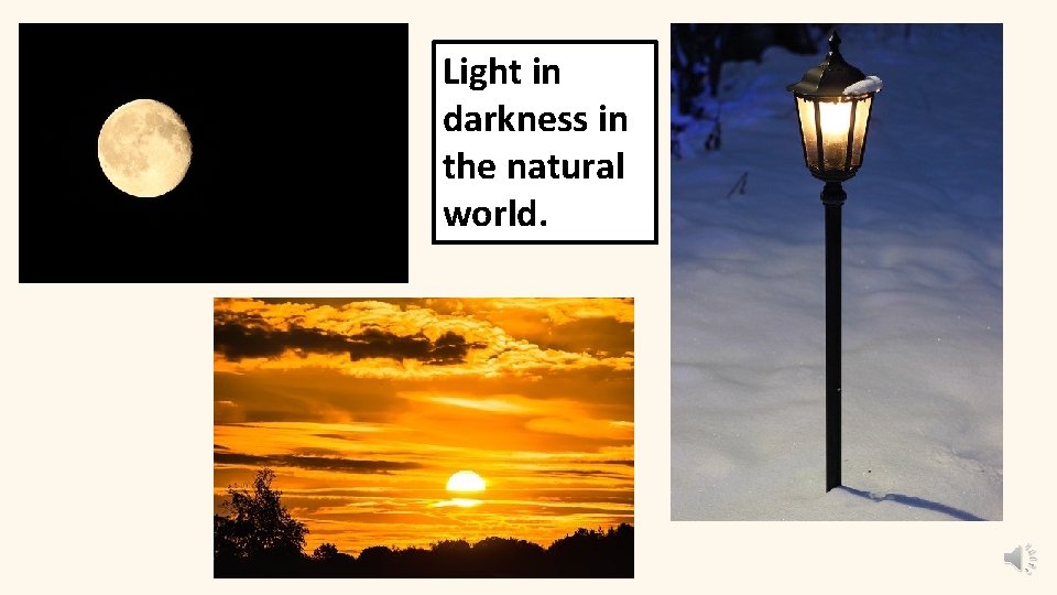 Light in darkness in the natural world. 