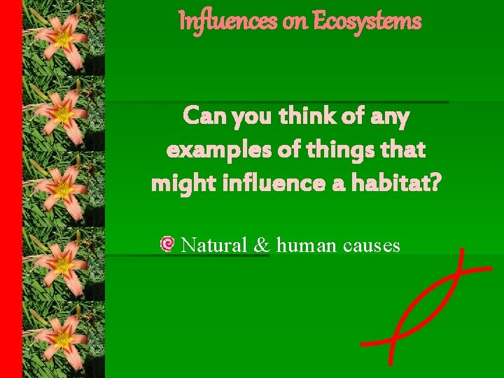 Influences on Ecosystems Can you think of any examples of things that might influence