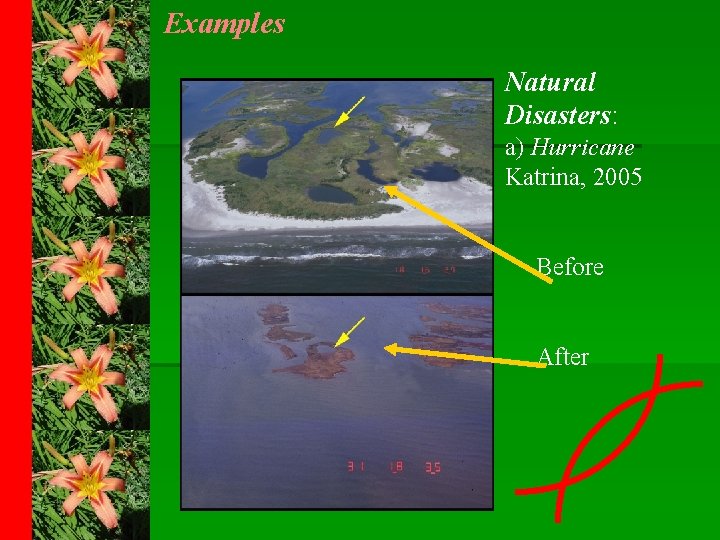 Examples Natural Disasters: a) Hurricane Katrina, 2005 Before After 