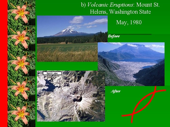 b) Volcanic Eruptions: Mount St. Helens, Washington State May, 1980 Before After 