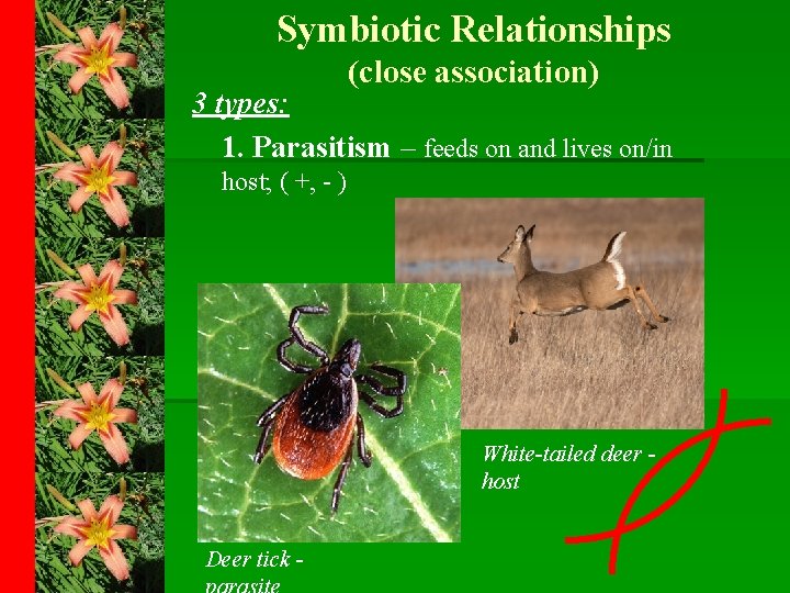 Symbiotic Relationships (close association) 3 types: 1. Parasitism – feeds on and lives on/in