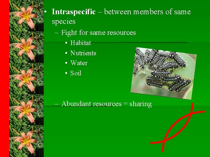  • Intraspecific – between members of same species – Fight for same resources