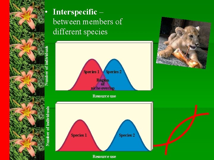 Number of individuals • Interspecific – between members of different species Species 1 Species