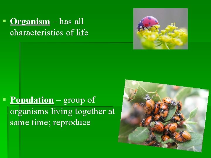 § Organism – has all characteristics of life § Population – group of organisms
