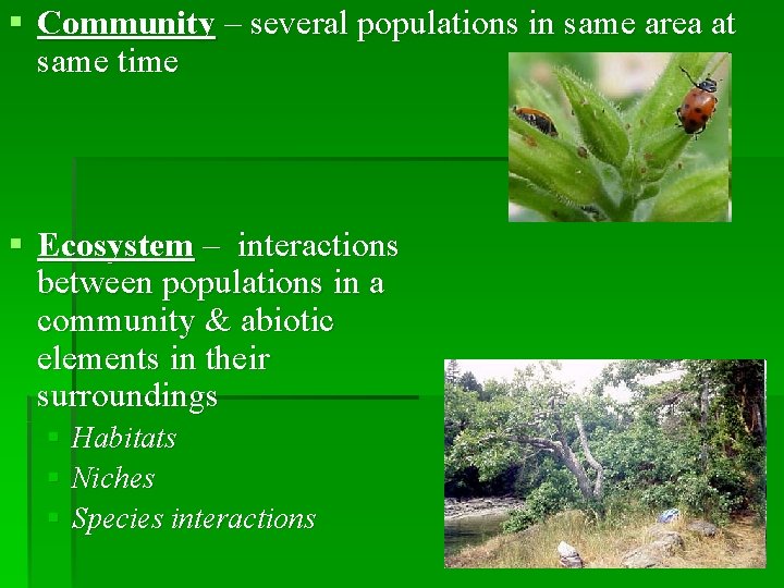 § Community – several populations in same area at same time § Ecosystem –