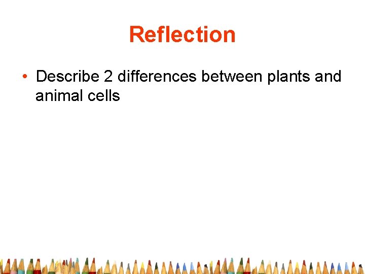 Reflection • Describe 2 differences between plants and animal cells 