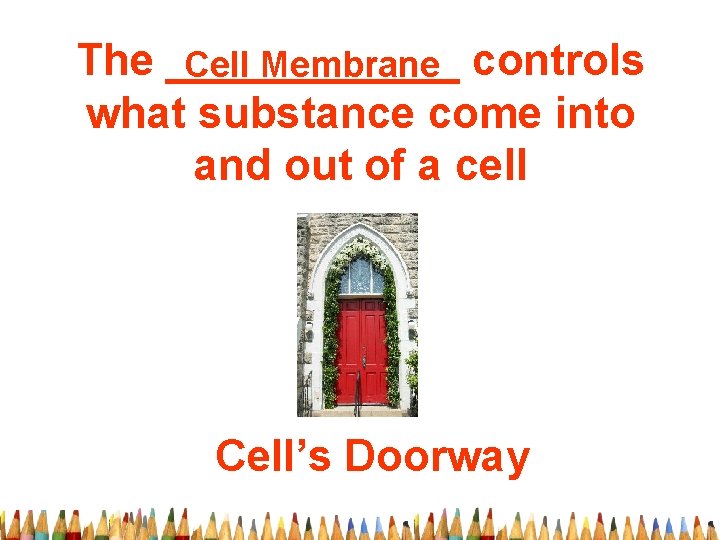 The ______ Cell Membrane controls what substance come into and out of a cell