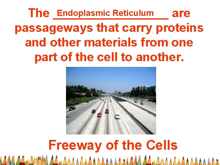 Endoplasmic Reticulum The _________ are passageways that carry proteins and other materials from one