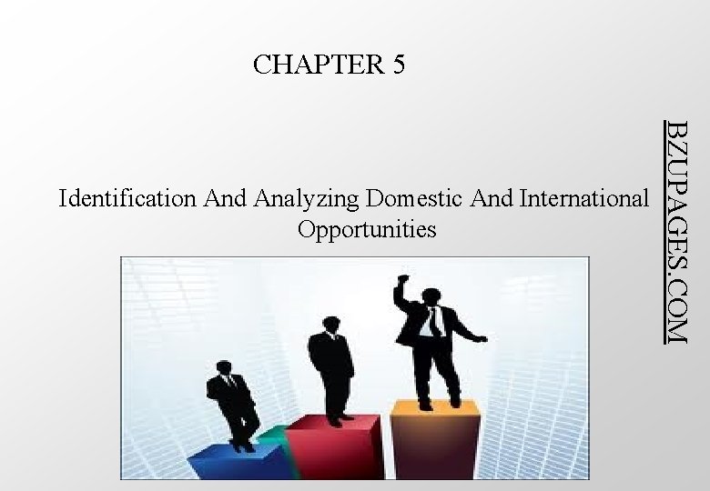 CHAPTER 5 BZUPAGES. COM Identification And Analyzing Domestic And International Opportunities 