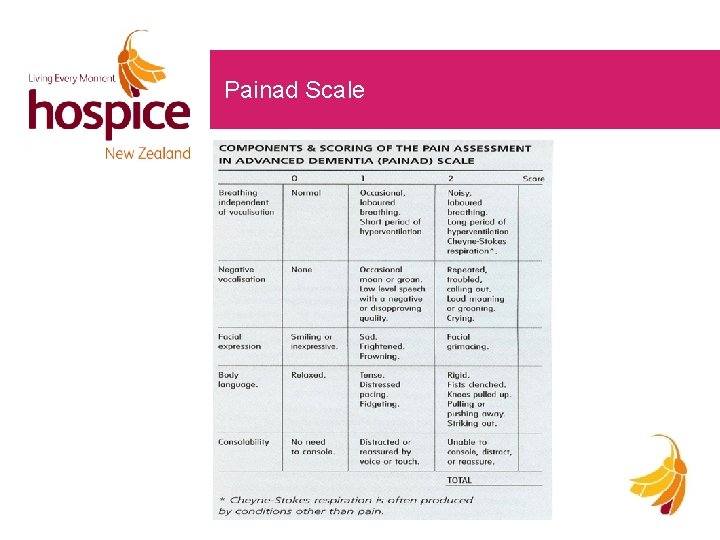 Painad Scale 