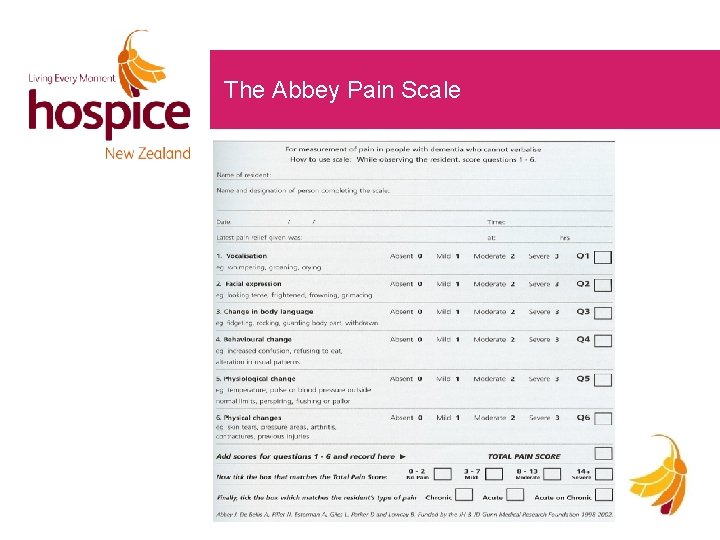 The Abbey Pain Scale 