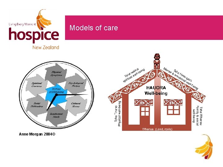 Models of care Anne Morgan 2004© 