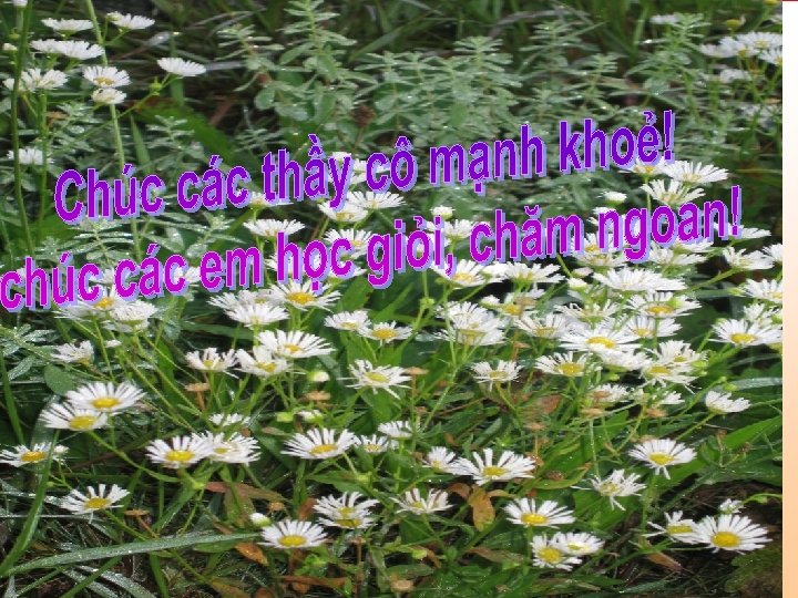 Thứ sáu ngày 6 tháng 3 năm 2009 Kể chuyện Những chú bé không